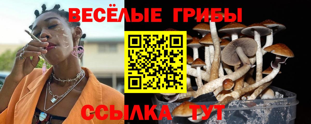 Псилоцибиновые грибы GOLDEN TEACHER  Вход с VPN  Химки 